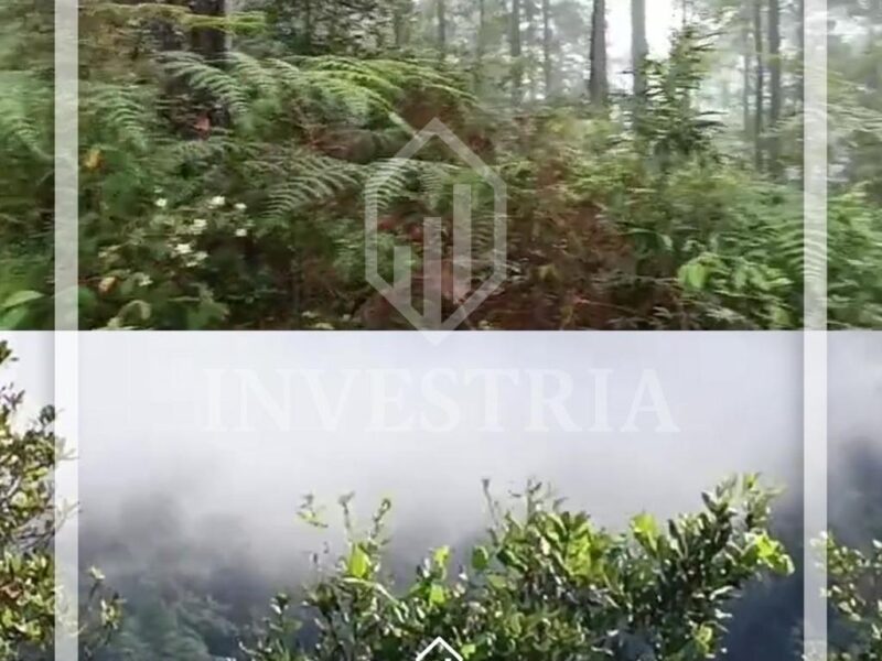 Propiedad en Valle de Angeles